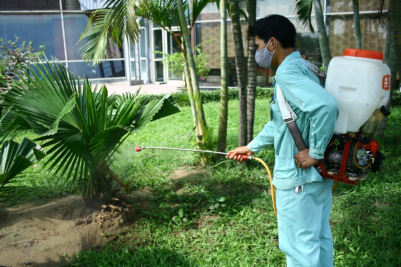 Dịch vụ diệt côn trùng của vệ sinh An Khang được đánh giá cao